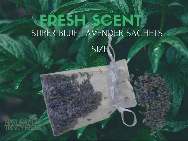 Lavender Sachets in organza satchels filled with lavender Super blue