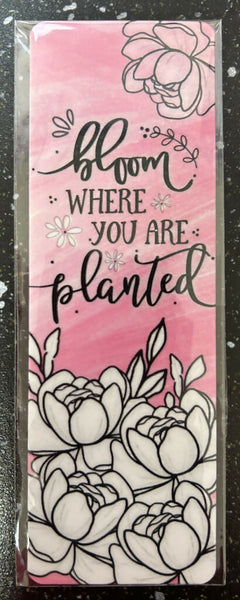 bloomwereplanted