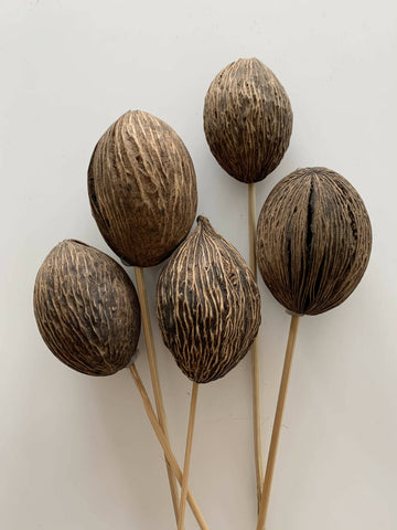 Dried Floral - Minolta Ball (Brown, 5 pack)