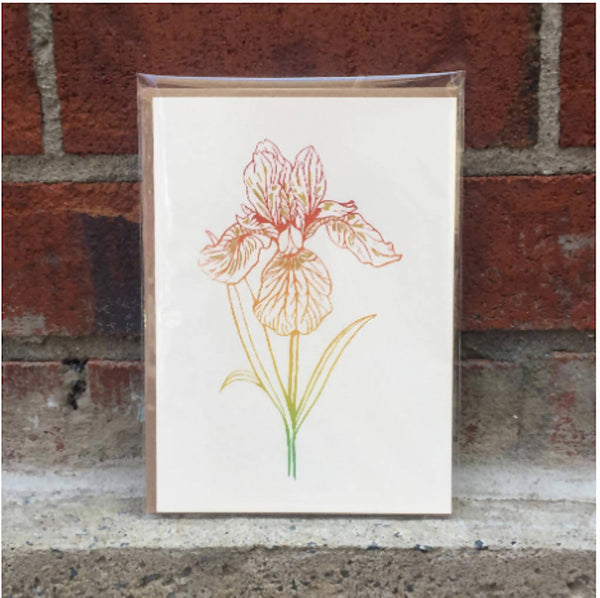 Rainbow Floral Greeting Cards