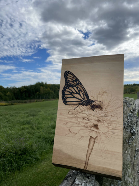 Butterfly Sitting on a Flower