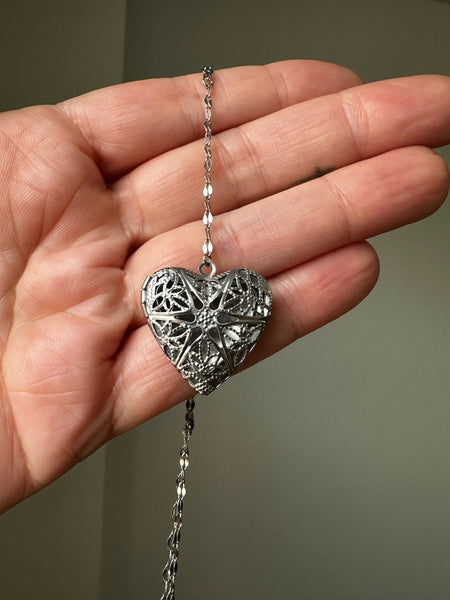 Silver Lariat Locket 02