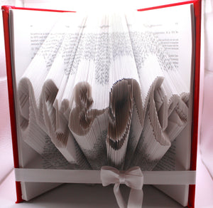 Mr & Mrs Folded Book Art