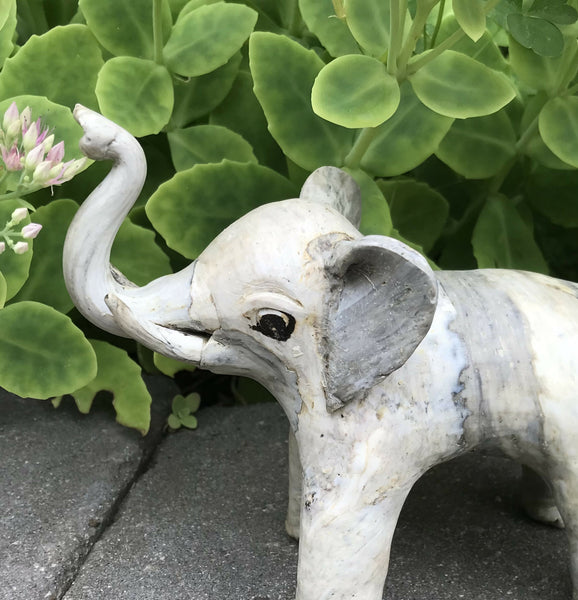 Shell Elephant 5”