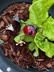 Mini plant hanger frog