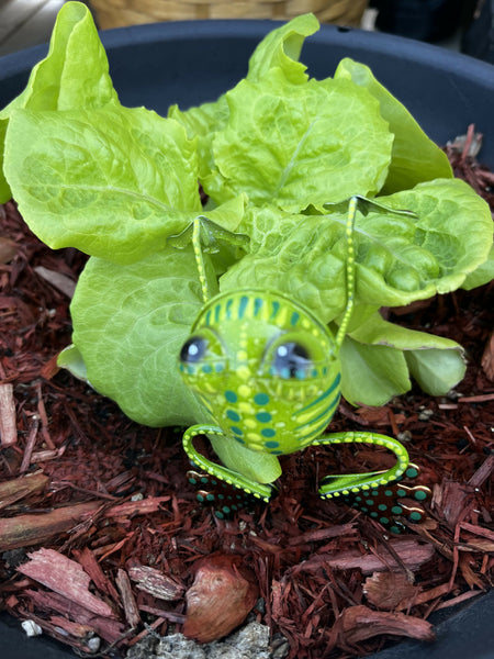 Mini plant hanger frog