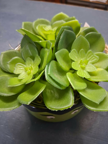 Frankenstein (faux) Succulent Pot