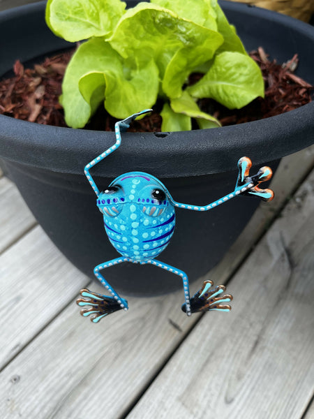 Mini plant hanger frog