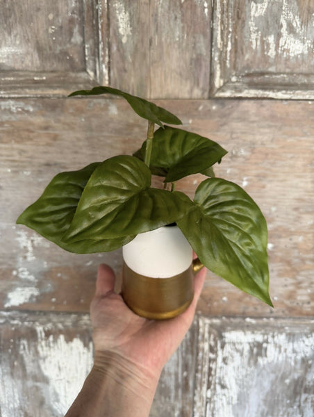 Plant (faux) in pitcher