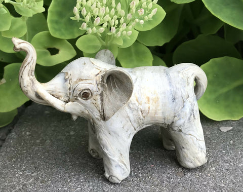 Shell Elephant 3”