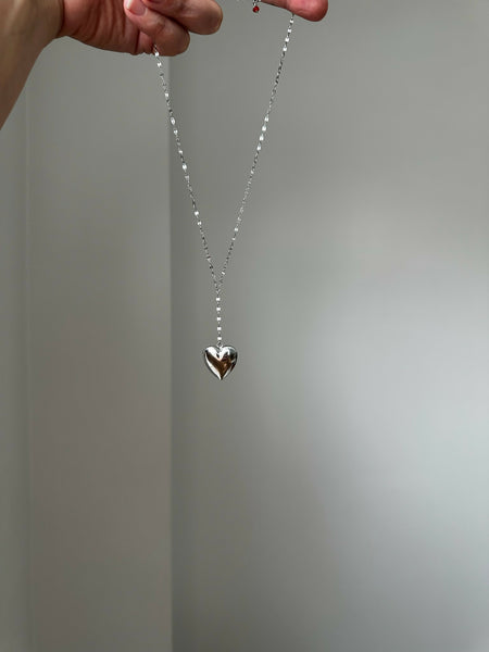 Silver Lariat Locket 01