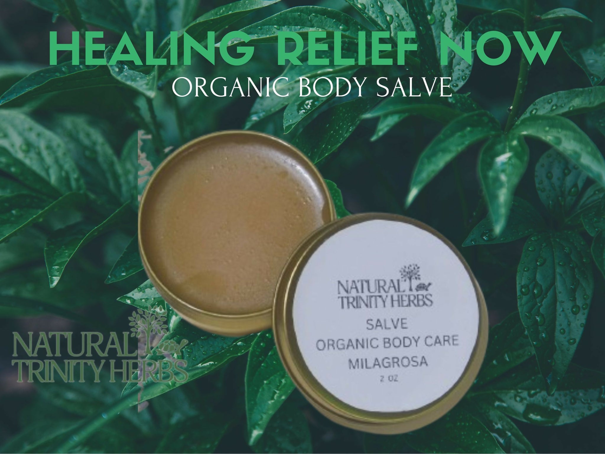ORGANIC BODY SALVE - best seller