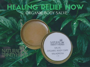ORGANIC BODY SALVE - best seller