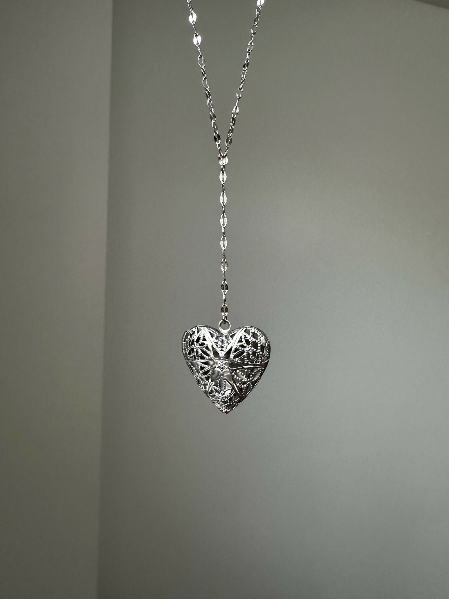 Silver Lariat Locket 02