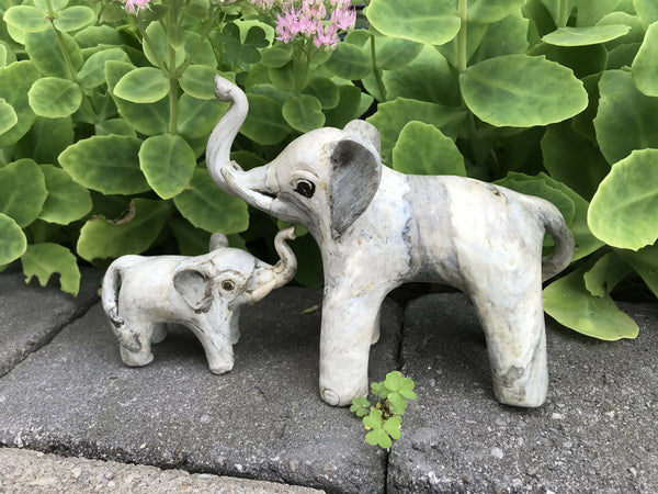 Shell Elephant 5”