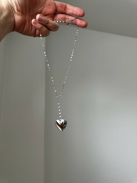 Silver Lariat Locket 01