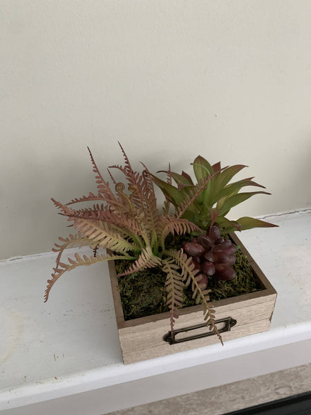 Succulent Drawer (large, faux plants)