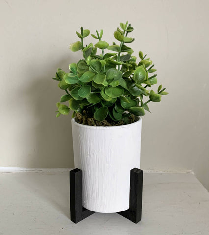 Eucalyptus (faux) - white pot in black wood riser