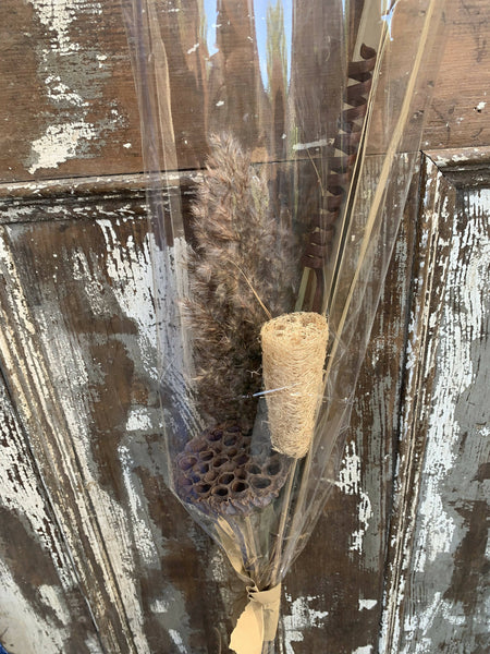 Dried Floral long stem (flat open seed pod)