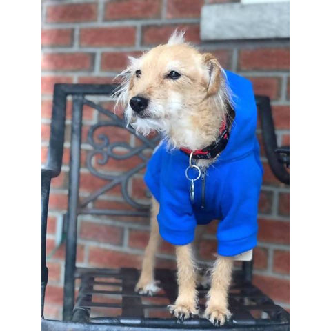Blue Guard Hoodie