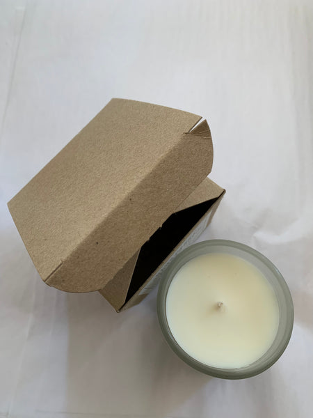 Peach + Magnolia Coconut Creme Wax - Boxed Candle