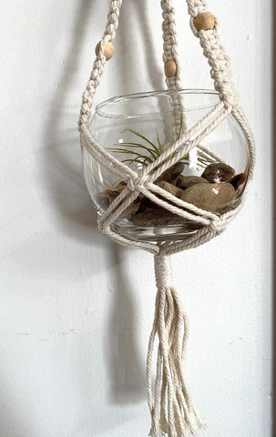 Glass Globe with Driftwood and Air Plant