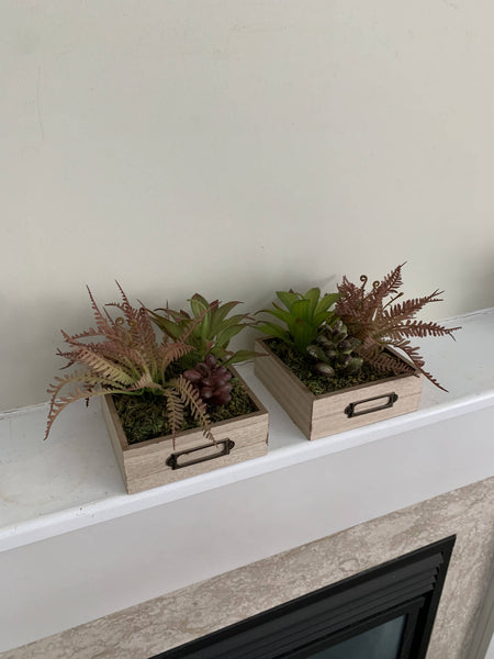 Succulent Drawer (large, faux plants)