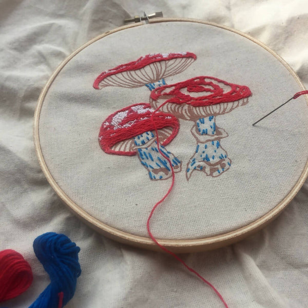 DIY Embroidery Kit