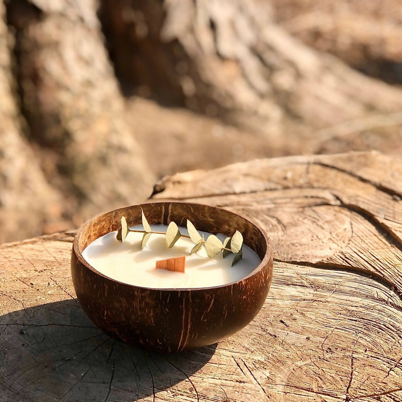 Eucalyptus Mint - Wood Wick Coconut Bowl Candle