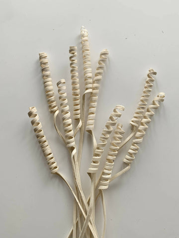 Dried Floral - Cane Spring (natural, 10 pack)