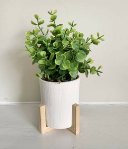 Eucalyptus (faux) - white pot in natural wood riser