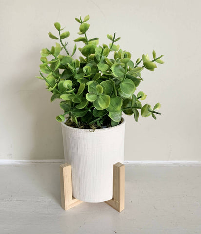 Eucalyptus (faux) - white pot in natural wood riser