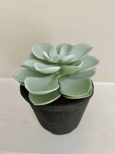 Succulent (faux) pot