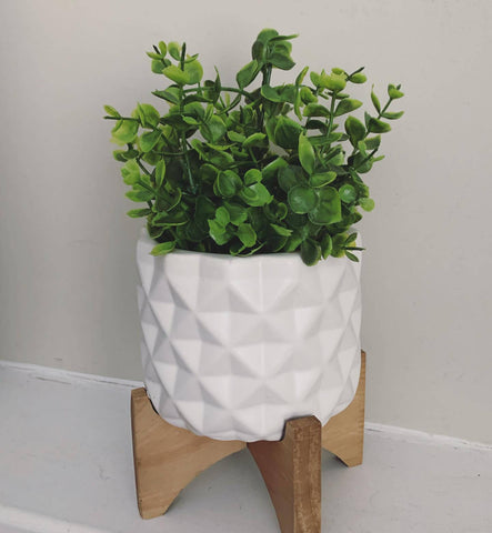 Potted Eucalyptus (faux) in pot (on wood base)