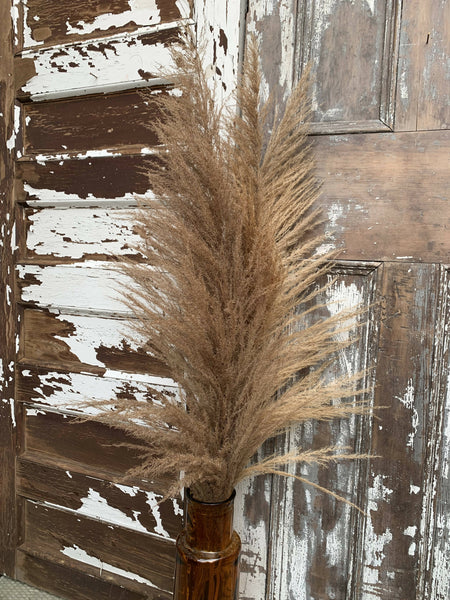 Tall Pampas Grass in Amber Glass Vase