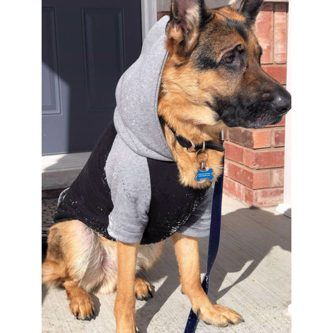 Grey Varsity Hoodie - Guard K9